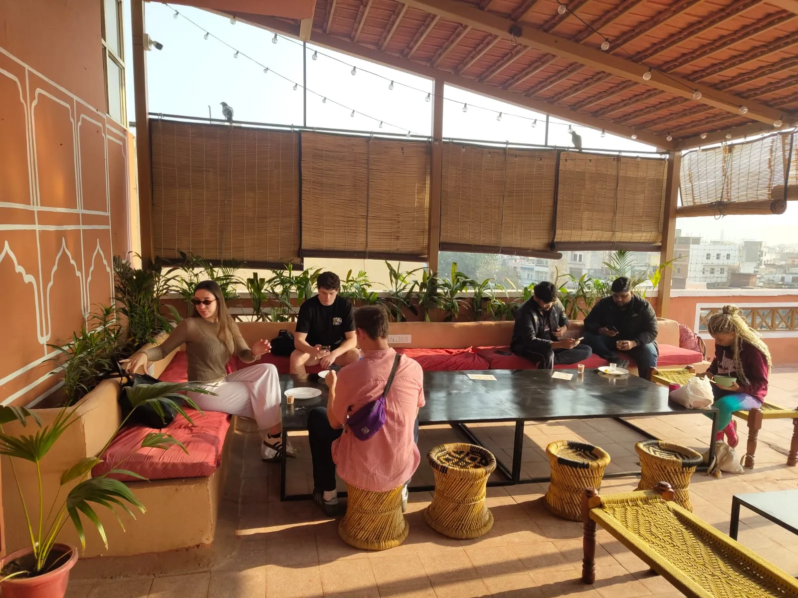 Hammock Hostels Jaipur